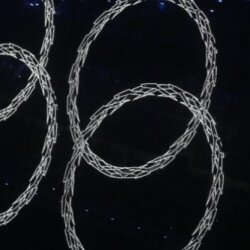 В день открытия Олимпиады Сочи поставил рождаемости Напомним